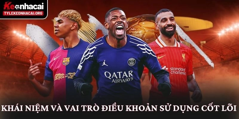 Khái niệm và vai trò điều khoản sử dụng cốt lõi